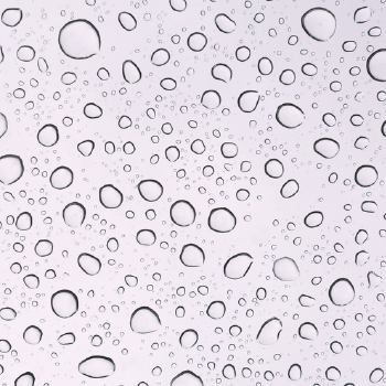 Ingredient Image