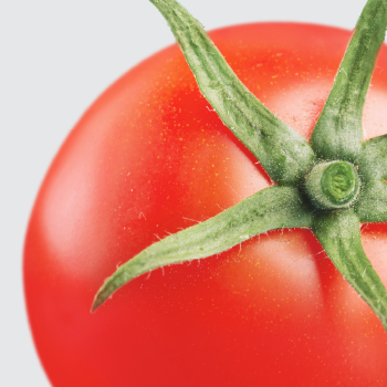 Ingredient Image